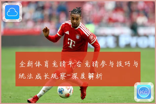 全新体育竞猜平台竞猜参与技巧与玩法成长观察-深度解析