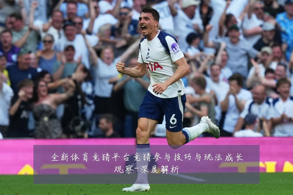 全新体育竞猜平台竞猜参与技巧与玩法成长观察-深度解析