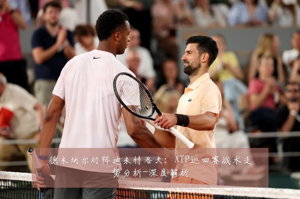 德米纳尔对阵迪米特洛夫:ATP巡回赛战术走势分析-深度解析