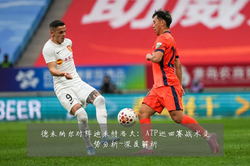 德米纳尔对阵迪米特洛夫:ATP巡回赛战术走势分析-深度解析